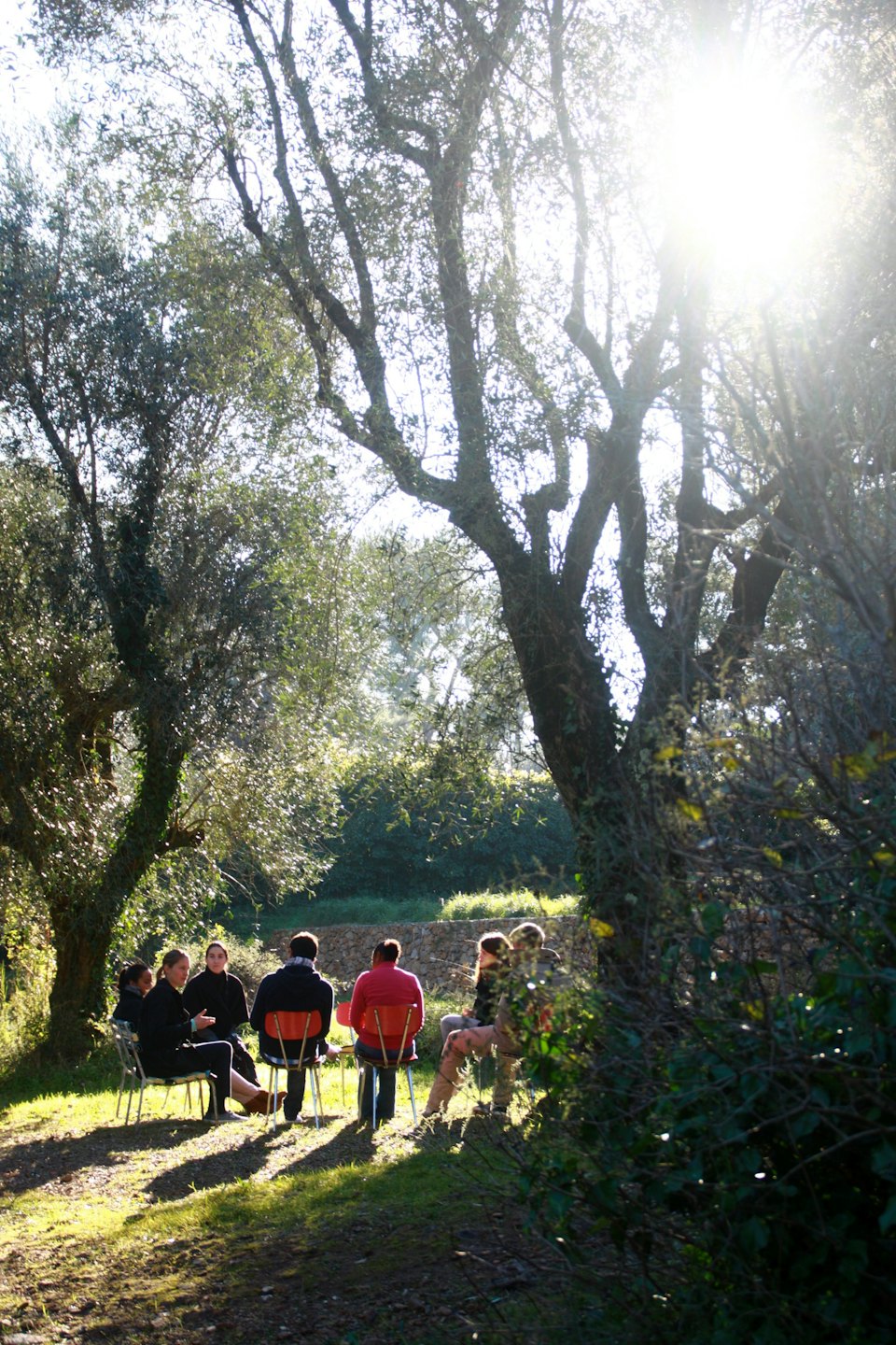Diverse group discusses ideas in a sun-dappled outdoor meeting.
