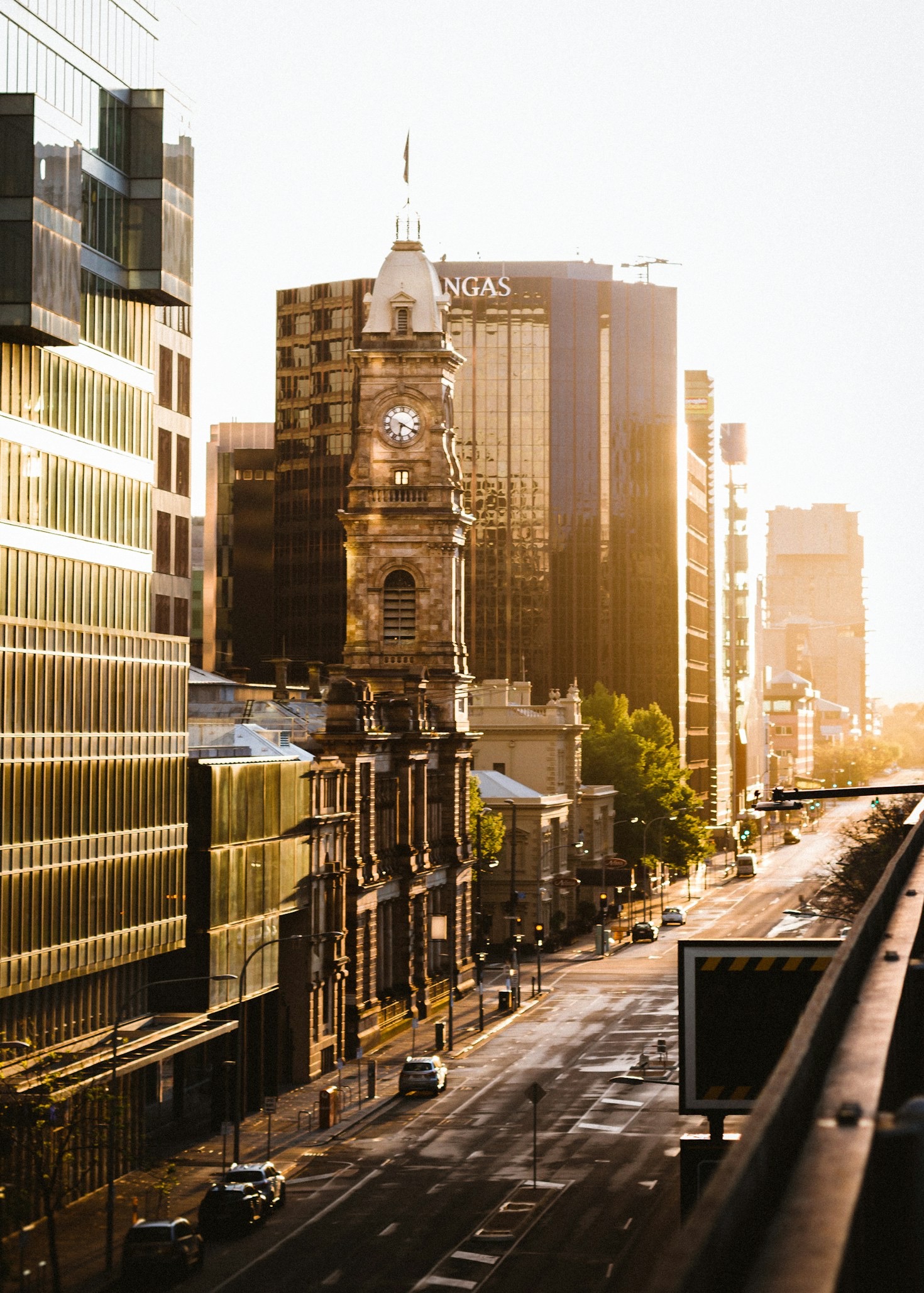 From Tea Ceremonies to Mindfulness: Rituals for Urban Living